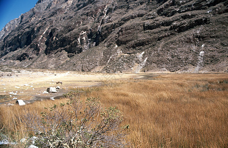 通往秘鲁山谷带湖泊的阿尔帕马约山基地营地图片