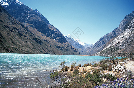 秘鲁山基地营地山谷崎岖环境冒险植被山脉蓝色高度高地河床绿色图片
