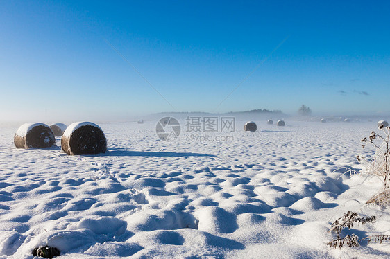 田地上的雪雪图片