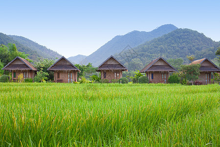 绿田村季节房子石头村庄蓝色牧场小屋建筑乡村国家图片