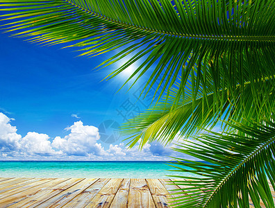 海 海冲浪支撑晴天蓝色阳光天空旅行热带放松海浪图片