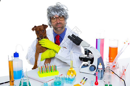 疯狂的书呆子科学家 愚蠢的兽医男人和狗在实验室管子化学宠物显微镜调查药品学生科学男性小狗图片