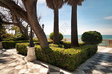 卡迪兹的棕榈树和椰子树绿色植物阴影设计师植被蓝色娱乐棕榈享受园丁图片