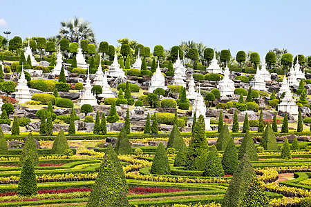 热带花园在泰国的帕塔亚天空植物学园艺棕榈旅游奢华热带花园植物旅行图片