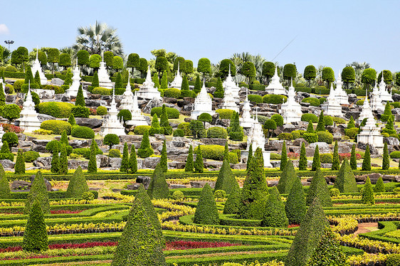 热带花园在泰国的帕塔亚天空植物学园艺棕榈旅游奢华热带花园植物旅行图片