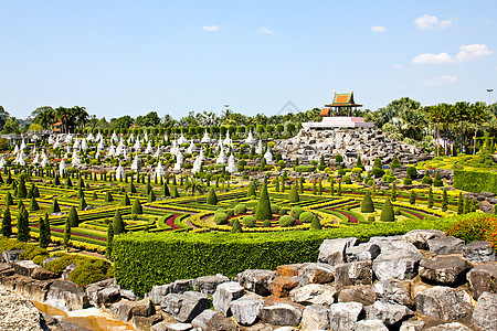 热带花园在泰国的帕塔亚蓝色天空假期奢华花园旅行植物学旅游棕榈植物图片