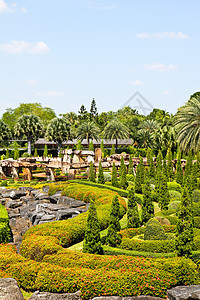 热带花园在泰国的帕塔亚奢华花园棕榈热带旅游天空蓝色旅行园艺露台图片