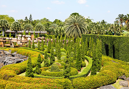 热带花园在泰国的帕塔亚奢华棕榈植物热带蓝色露台院子旅游旅行绿色图片