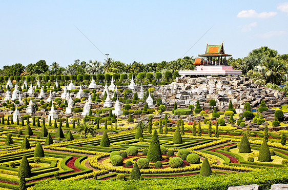 热带花园在泰国的帕塔亚公园院子园艺绿色植物棕榈旅行露台植物学奢华图片