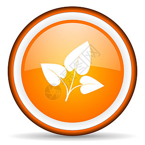 白色背景上的生态橙色圆形图标图片