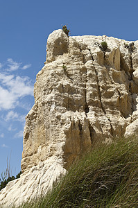 沙石悬崖石头侵蚀海岸线岩石红色崎岖大风风景海岸砂岩图片