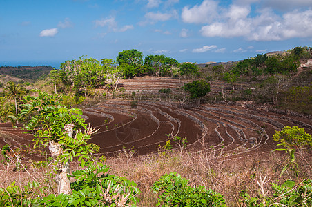 印度尼西亚努沙佩尼达山丘山坡农场旅行脚步植物灌溉文化高地编队场地图片