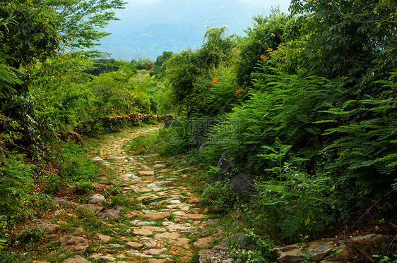 穿越狂野的石石路图片