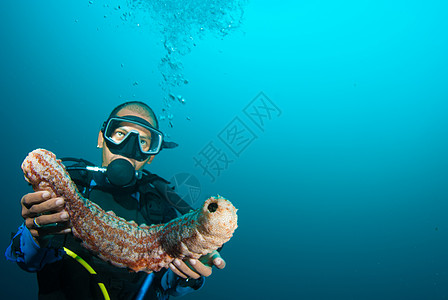 持有海参的Scuba潜水员岩石触手浮潜探险家潜水探索讲师教学珊瑚展示图片