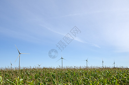 风风车天空气候农村玉米生长技术农场食物发电机生产图片