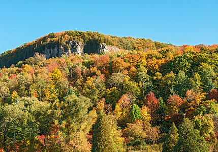 秋季在安大略米尔顿格伦伊登保护区岩石树木甸园悬崖图片