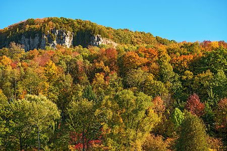 秋季在安大略米尔顿格伦伊登保护区悬崖甸园岩石树木图片