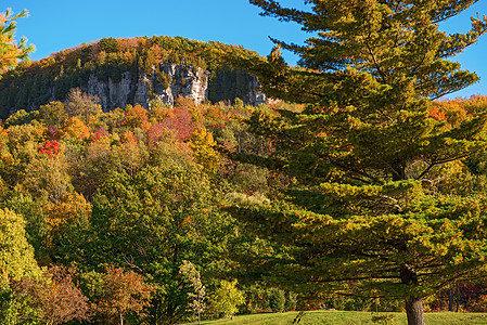 秋季在安大略米尔顿格伦伊登保护区岩石甸园树木悬崖图片