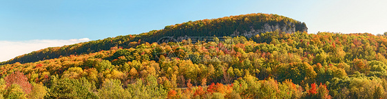 秋季在安大略米尔顿格伦伊登保护区岩石悬崖甸园树木图片