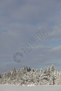 冬季雪雪地全景旅行首脑高地公园天气森林环境寒意天空图片