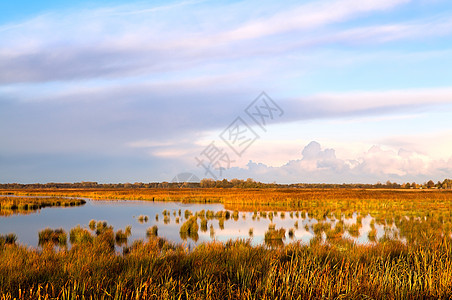 由拍摄的 Drenthe 洪水淹没地区图片