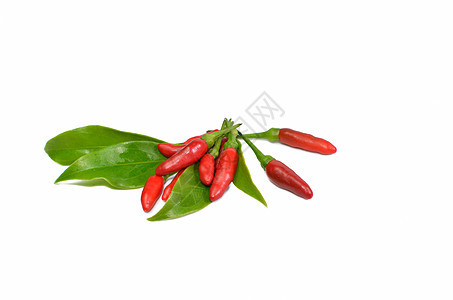 红辣椒 孤立在白色背景上图片