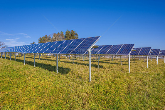 太阳能电池板植物生态技术力量臭氧政治天空发电厂安装环境图片