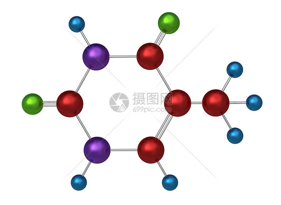 胸腺分子图片