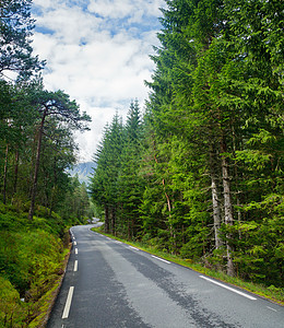 森林道路灌木丛旅行山脉国家叶子环境运输城市树木农村图片