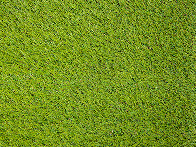 人工地皮日本绿色地面植物草地公园足球地毯场地材料花园法庭图片