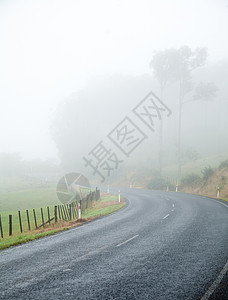 迷雾道路风景小路国家绿色薄雾阴霾沥青叶子季节车道图片