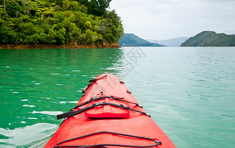 新西兰的Kayaking热带皮艇池塘假期游览航行血管冒险风景活动图片