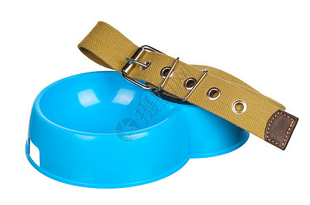 一碗狗食蓝色小狗时间早餐宠物塑料动物盘子食物衣领图片
