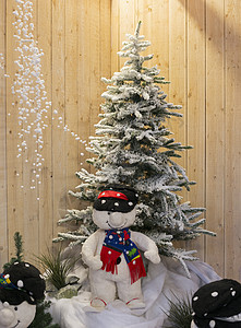 圣诞树白色帽子植物绿色木头红色微笑蓝色木偶背景图片