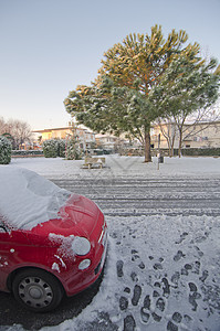 意大利比萨比萨暴风雪后的街道旅行教会雕像建筑假期倾斜历史洗礼池大理石文化图片