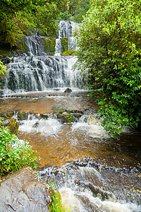 Prakauunui瀑布热带野生动物旅游荒野环境植物溪流美丽公园森林图片