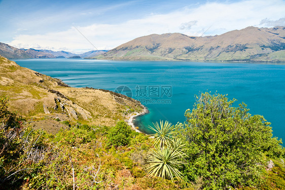 瓦纳卡湖池塘天气悬崖蓝色荒野天空晴天支撑旅游叶子图片