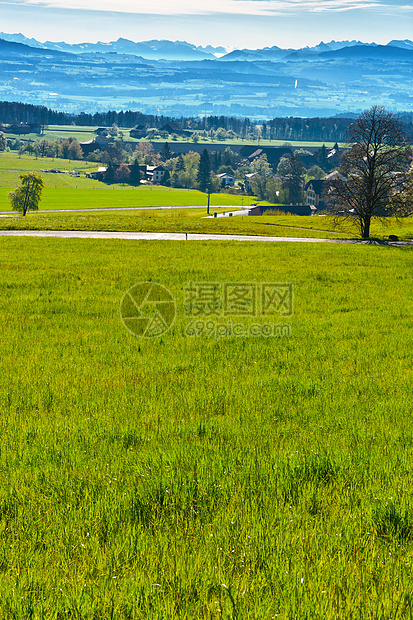 清晨雾牧场旅行景观种植园土地收成阴影农村农田天空图片