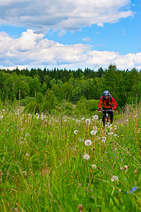 巡回骑自行车手游客森林活动国家越野冒险山地车旅行农村草地图片