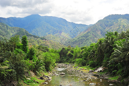 科迪勒拉山脉场景场地叶子气候山沟森林土地旅行农业环境图片