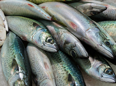 沙丁黑色团体摊位海鲜市场钓鱼动物食物小贩水平图片