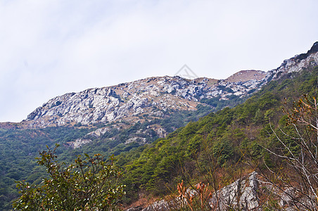 高峰的山边布雷木材森林山顶树林远景木头山坡石头垂直度图片