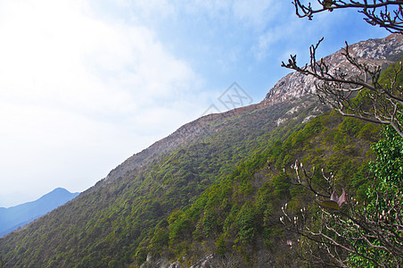 高峰的山边树林首脑山麓布雷山顶山腰岩溶登山者天空岩石图片