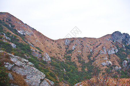 高峰的山边布雷木材山顶山麓山腰地球山坡场景木头风景图片