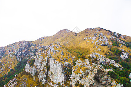 高峰的山边森林岩石木头顶峰登山者悬崖布雷远景风景青金石图片