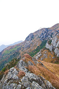 高峰的山边场景木头高地森林石头顶峰远景木材青金石风景图片