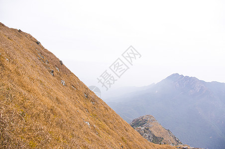 有黄草的山顶登山者垂直度森林木头高地山麓天空远景悬崖风景图片