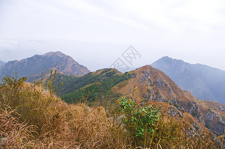 有黄草的山顶山麓场景布雷山坡青金石天空石头山腰登山者垂直度图片