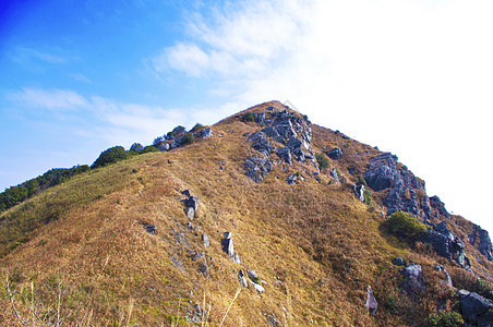 有黄草的山顶布雷石头悬崖树林爬坡风景高地岩石顶峰木材图片