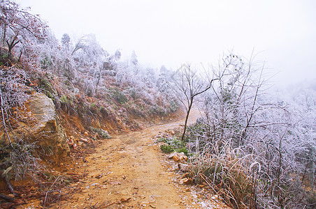 大雪过后在路上下雪图片